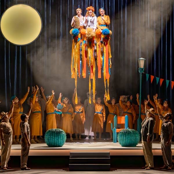 Clivia_TM_13 Clivia_TM_13